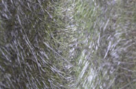 Gracca fibreglass roof work